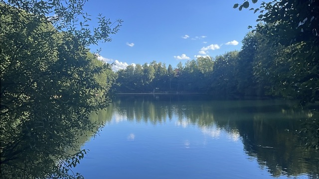See im Spätsommer mit spiegelnder Wasseroberfläche und Wald